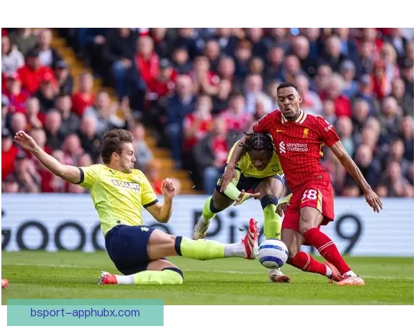 B体育全景解析：赛事报道、运动资讯与精彩瞬间深度呈现